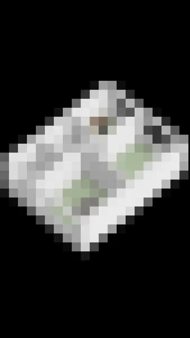 Ereprijslaan 75 Scherpenzeel thumbnail 37
