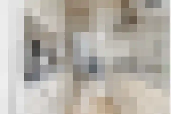 Ereprijspad 2 Spijkenisse thumbnail 11