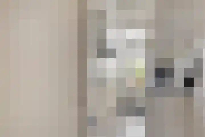 Ereprijspad 2 Spijkenisse thumbnail 12