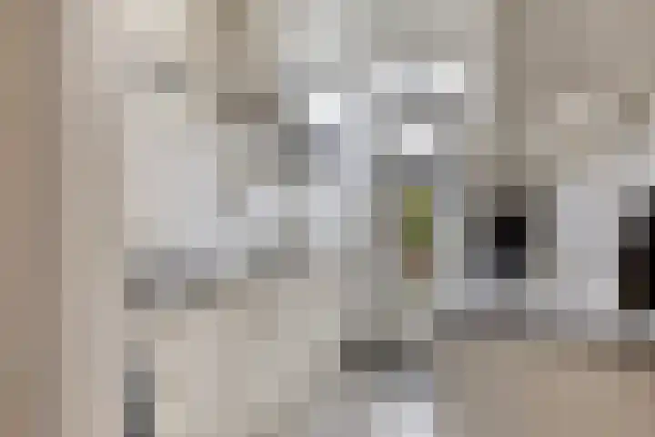Ereprijspad 2 Spijkenisse thumbnail 13
