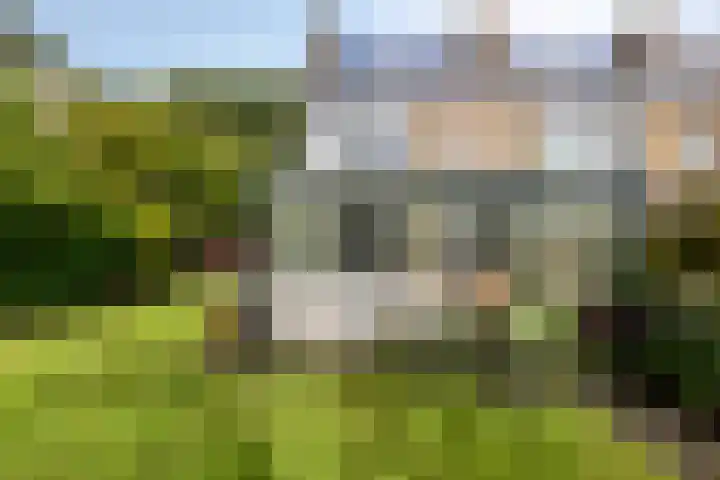 Ereprijspad 2 Spijkenisse thumbnail 14