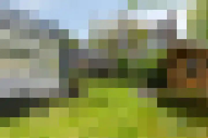 Ereprijspad 2 Spijkenisse thumbnail 15