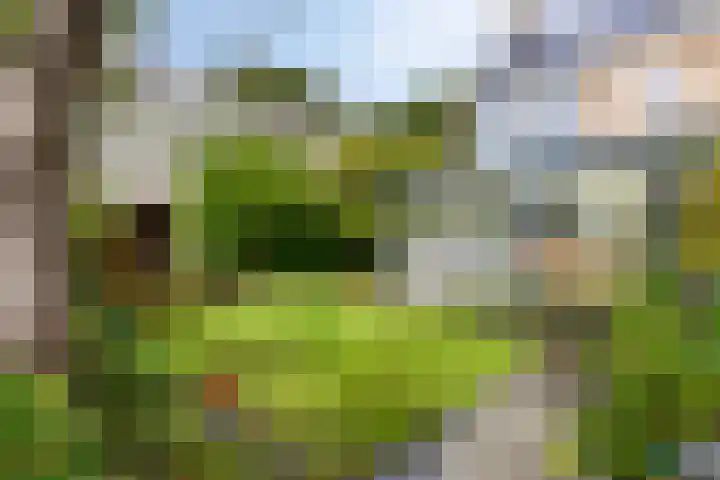 Ereprijspad 2 Spijkenisse thumbnail 16