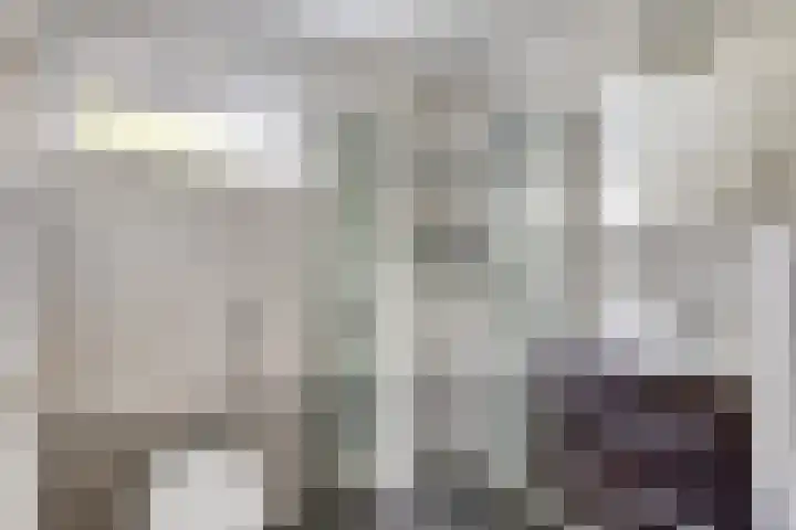 Ereprijspad 2 Spijkenisse thumbnail 18