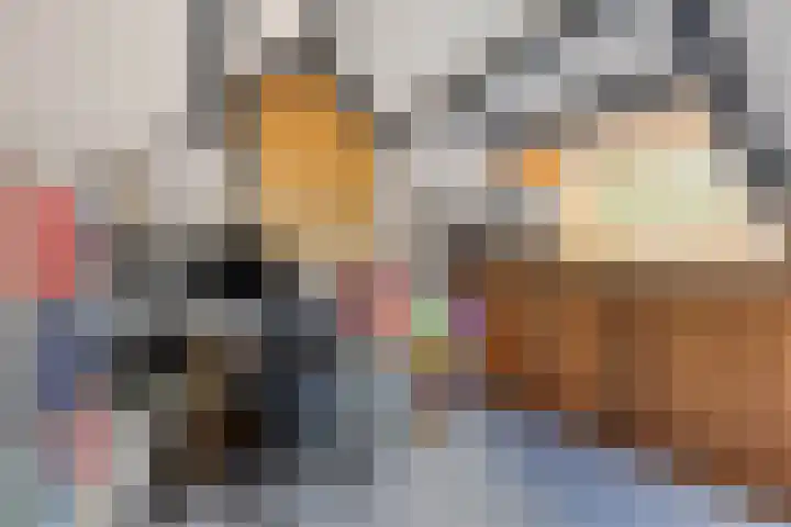Ereprijspad 2 Spijkenisse thumbnail 23