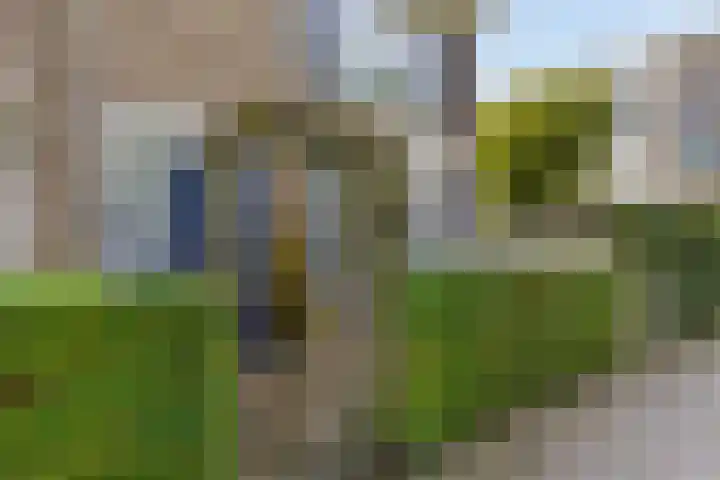 Ereprijspad 2 Spijkenisse thumbnail 26