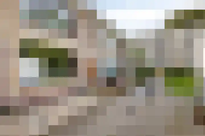 Ereprijspad 2 Spijkenisse thumbnail 27
