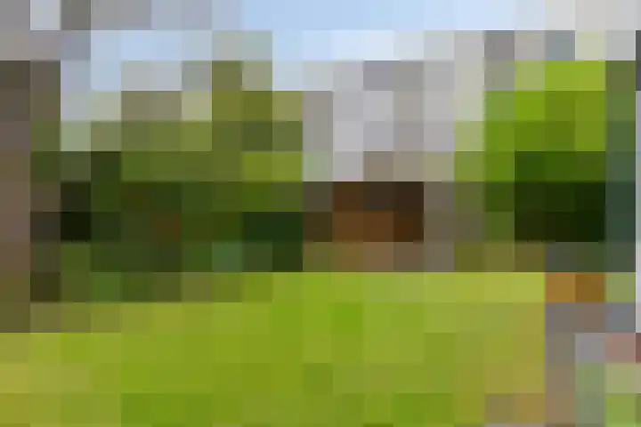 Ereprijspad 2 Spijkenisse thumbnail 28