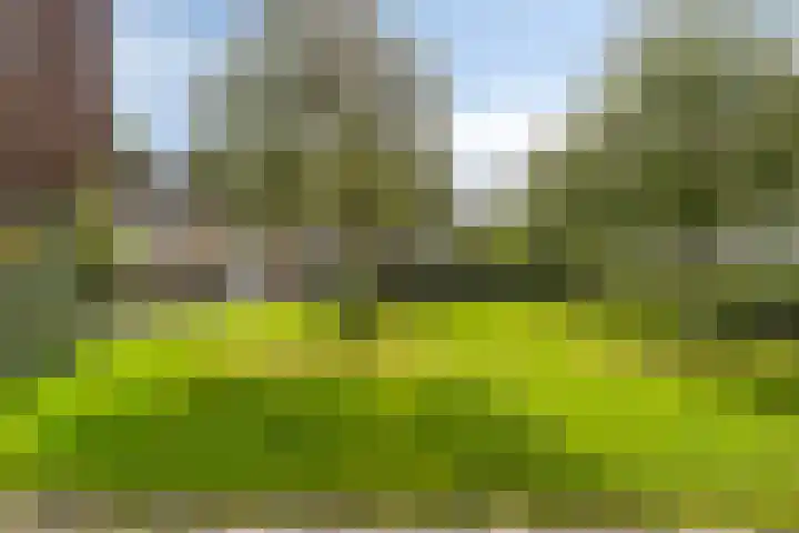 Ereprijspad 2 Spijkenisse thumbnail 29