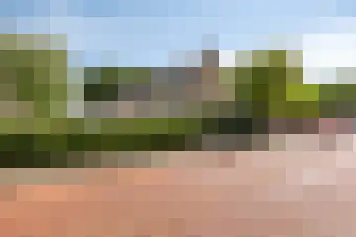 Ereprijspad 2 Spijkenisse foto 3