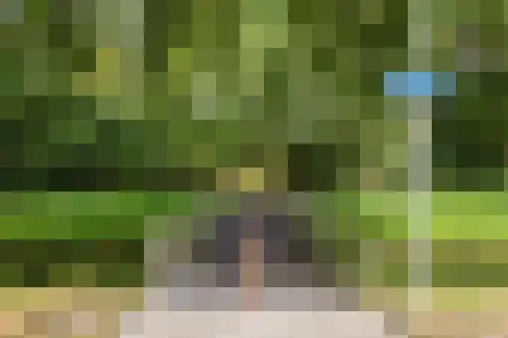 Ereprijspad 2 Spijkenisse thumbnail 32