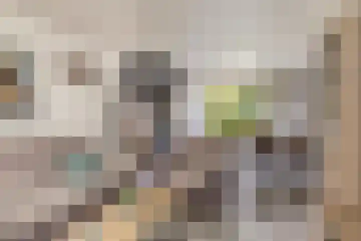 Ereprijspad 2 Spijkenisse thumbnail 4