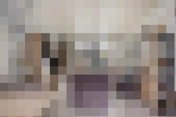 Ereprijspad 2 Spijkenisse thumbnail 5
