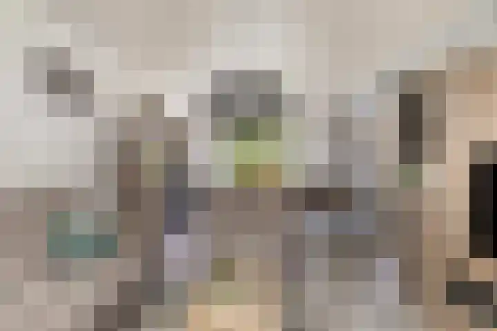 Ereprijspad 2 Spijkenisse thumbnail 6