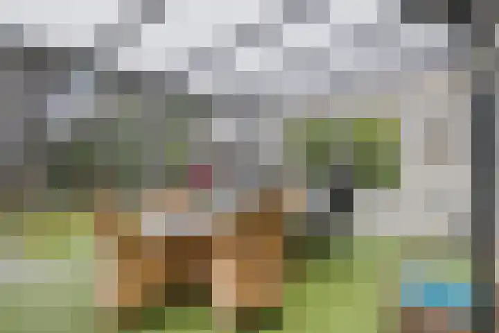 Ereprijspad 2 Spijkenisse thumbnail 8