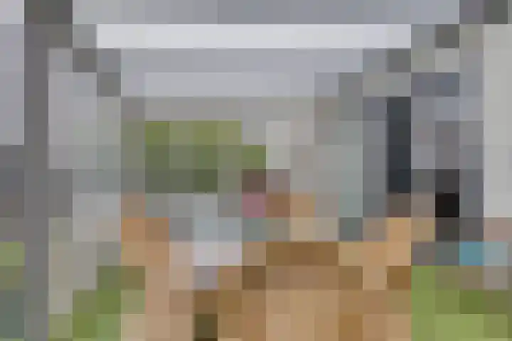 Ereprijspad 2 Spijkenisse thumbnail 9