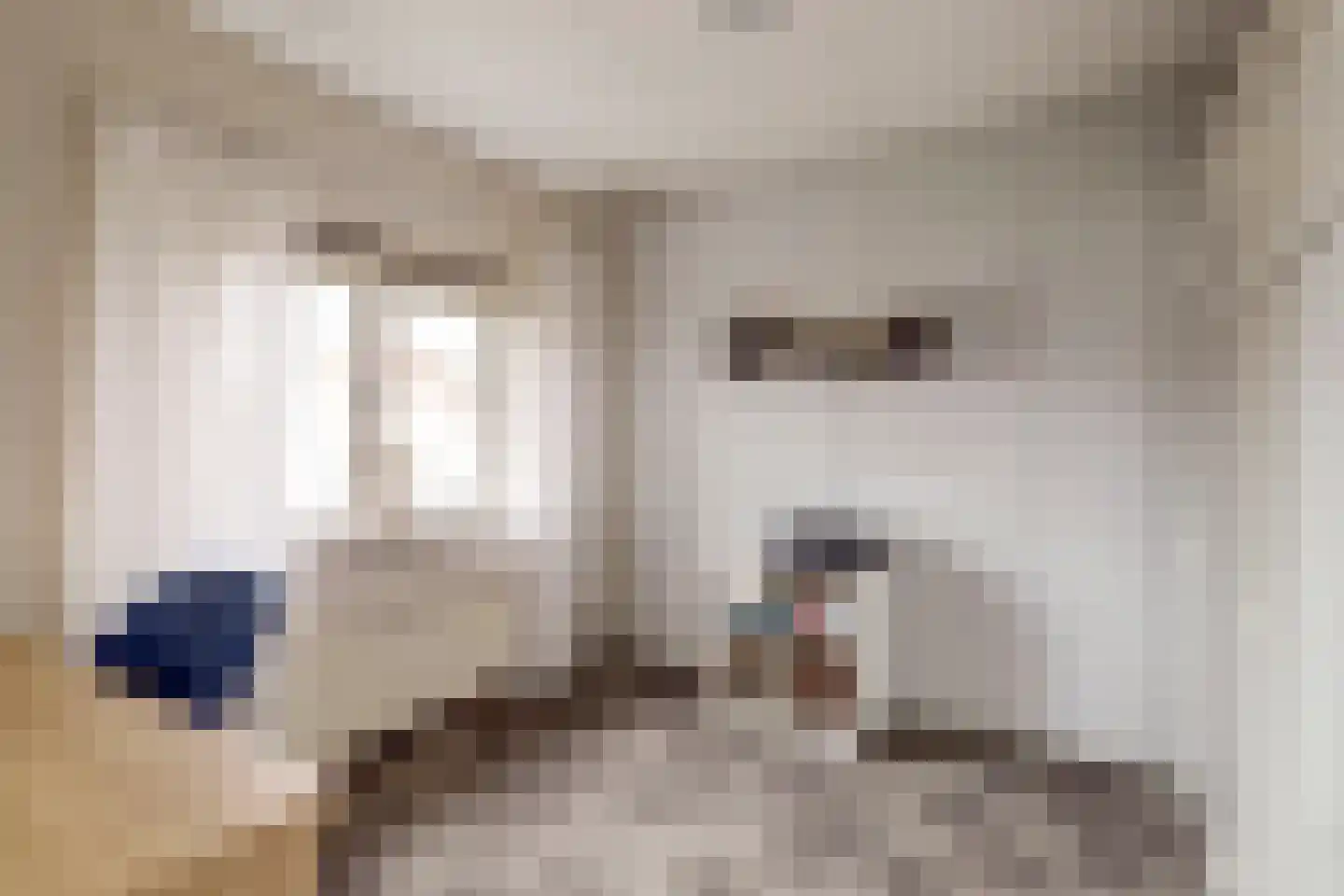 Ereprijsstraat 1 Gouda thumbnail 12