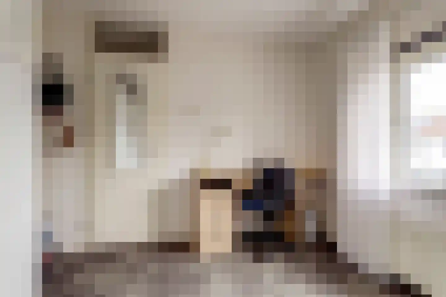 Ereprijsstraat 1 Gouda thumbnail 13