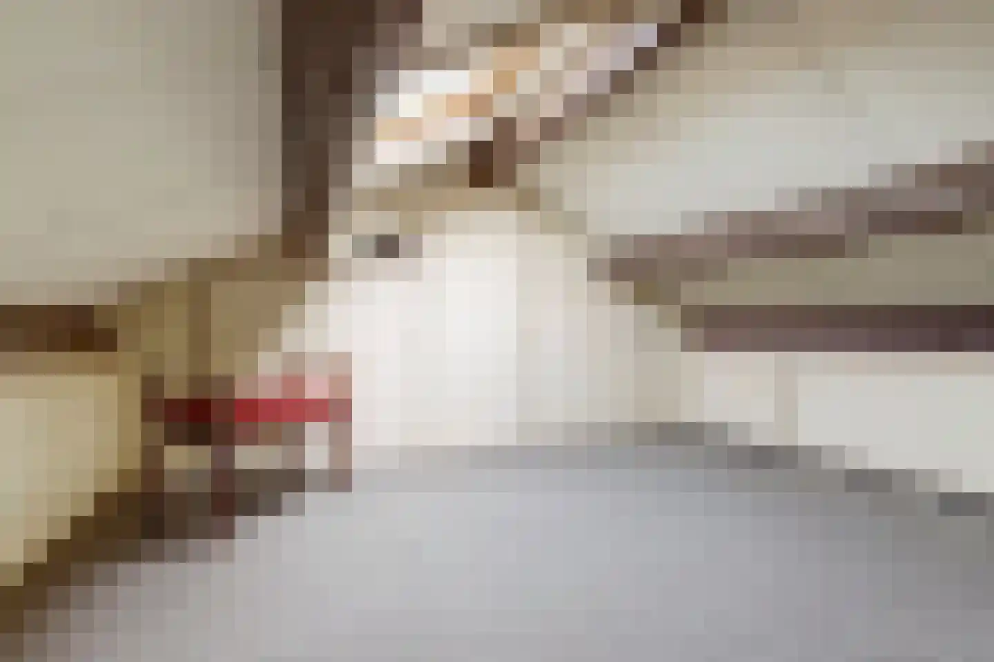 Ereprijsstraat 1 Gouda thumbnail 17