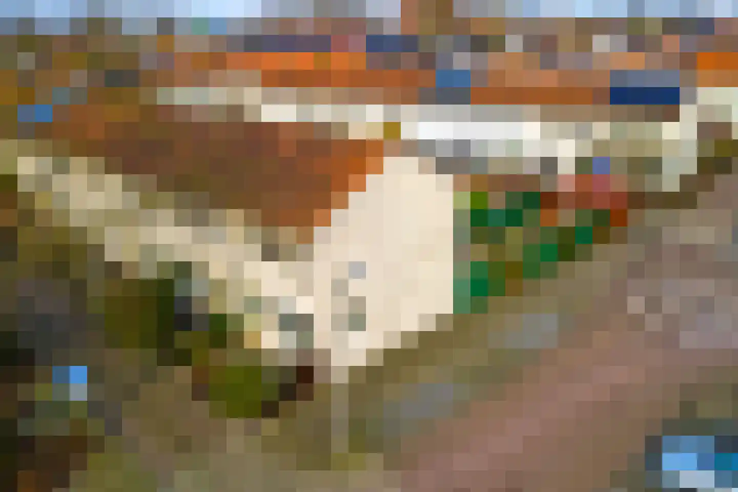 Ereprijsstraat 1 Gouda thumbnail 34