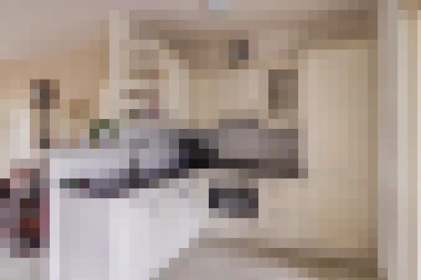 Ereprijsstraat 1 Gouda thumbnail 7