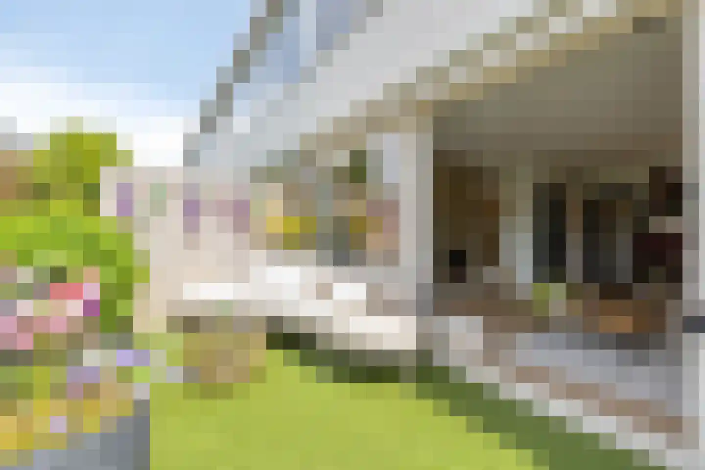 Ereprijsstraat 107 Soest thumbnail 27
