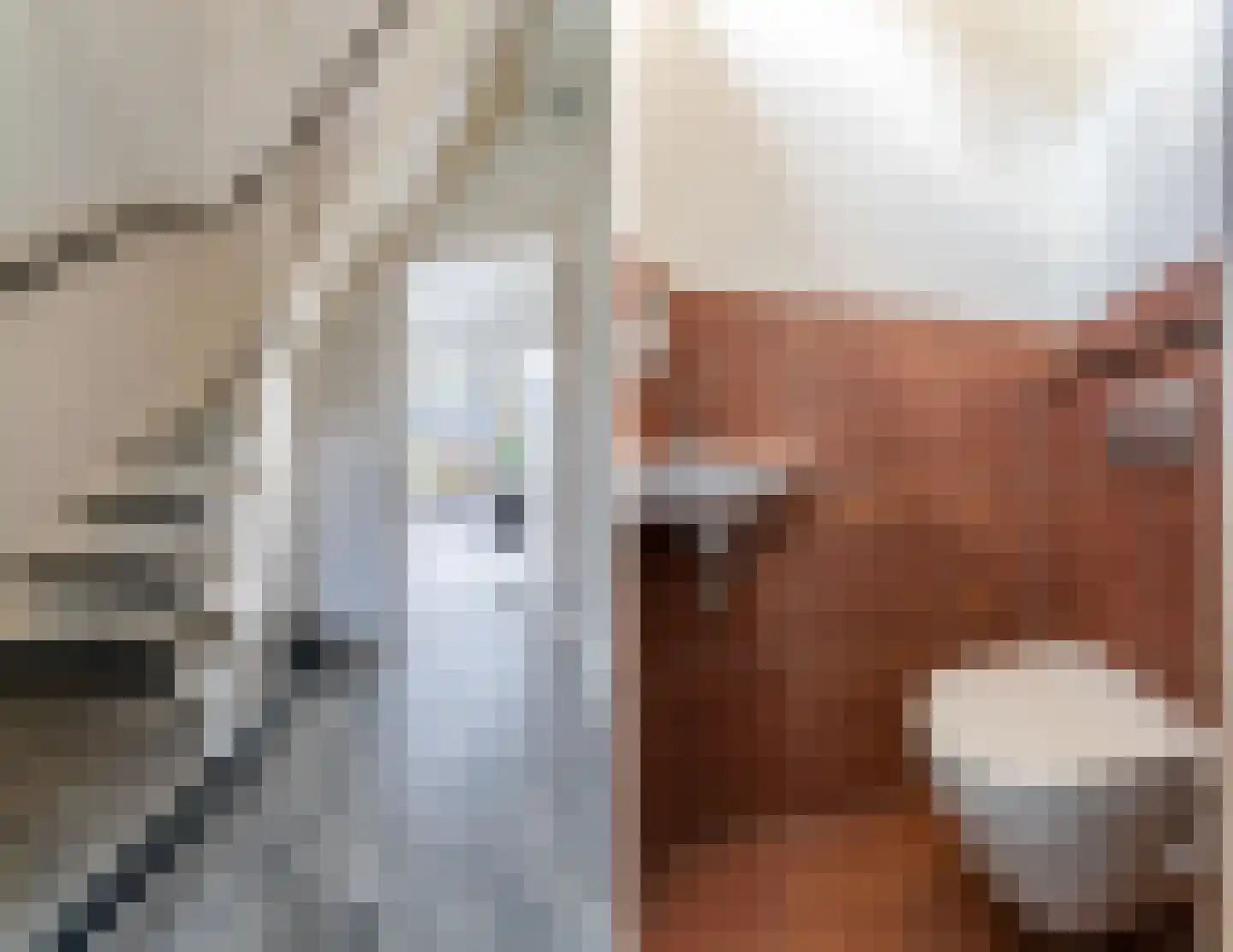 Ereprijsstraat 11 Krommenie thumbnail 15