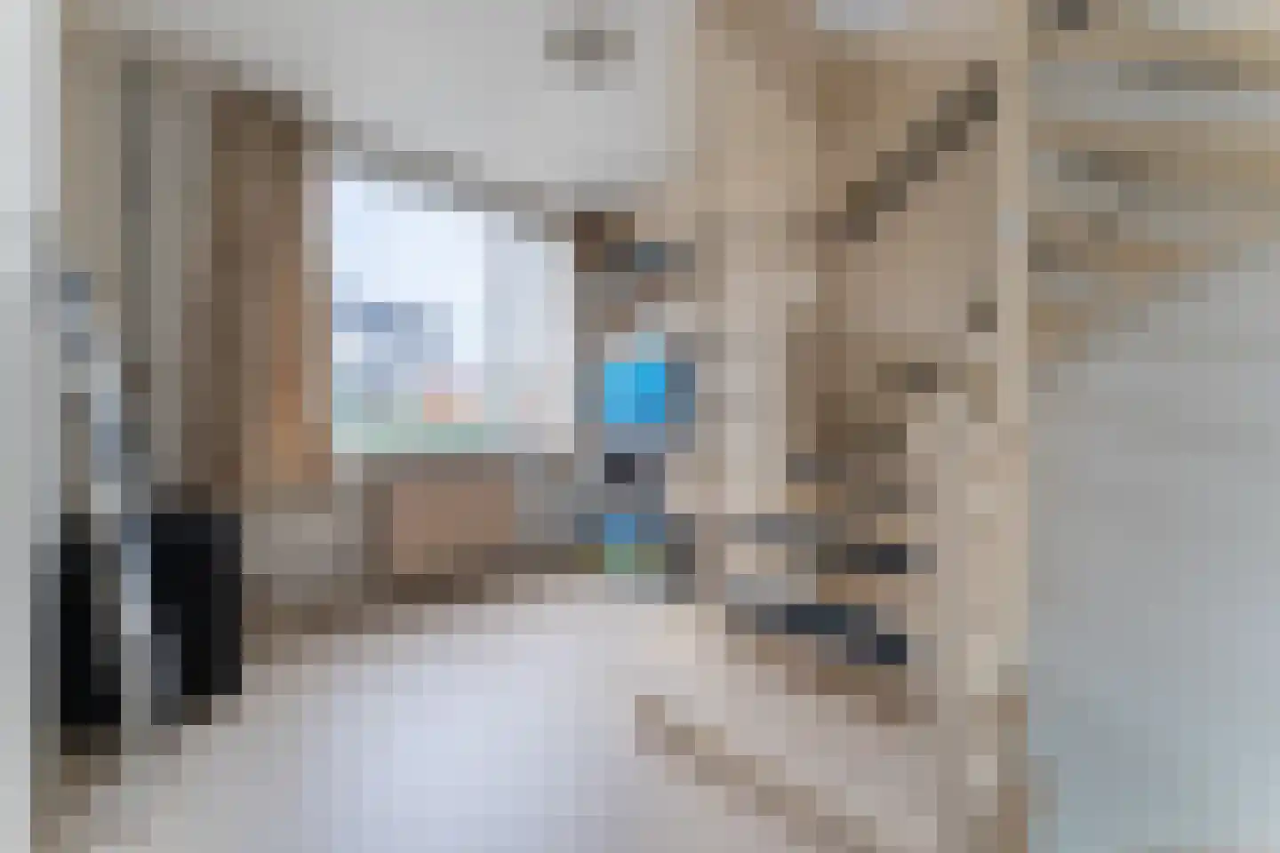 Ereprijsstraat 11 Krommenie thumbnail 16
