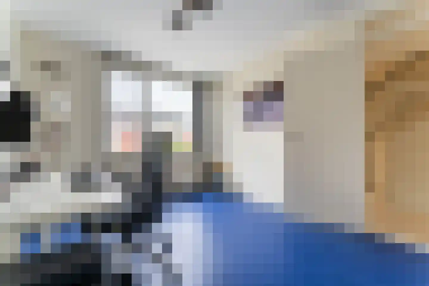 Ereprijsstraat 11 Krommenie thumbnail 18