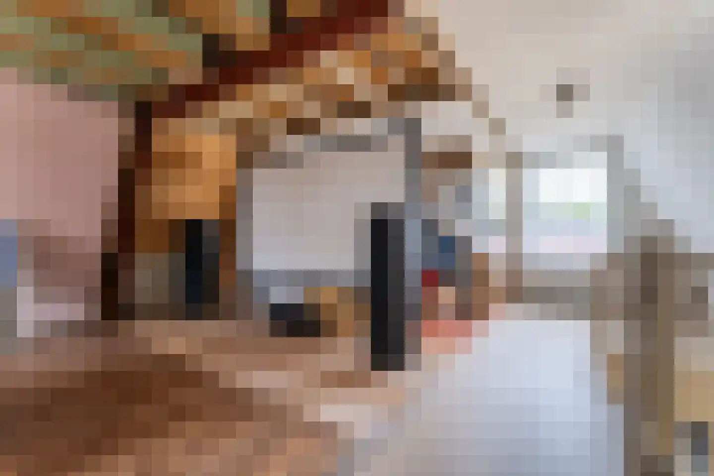 Ereprijsstraat 11 Krommenie thumbnail 26