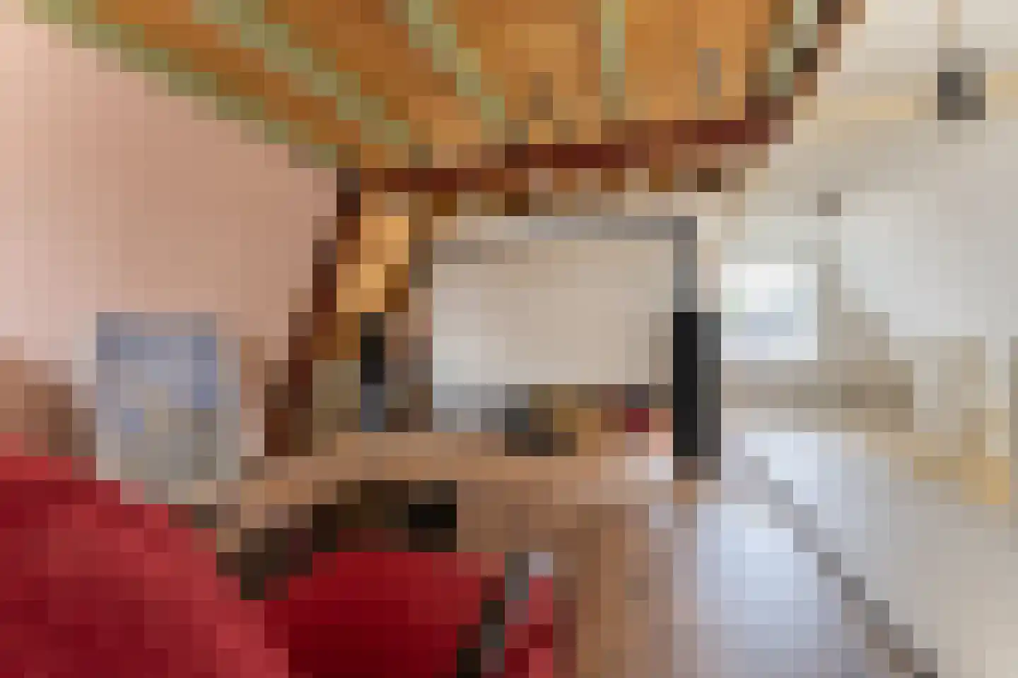 Ereprijsstraat 11 Krommenie thumbnail 30