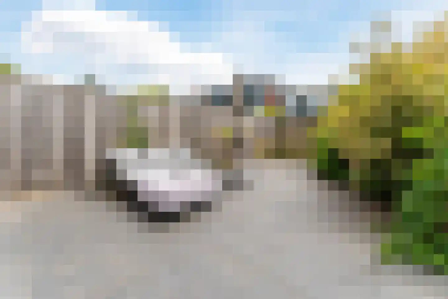 Ereprijsstraat 11 Krommenie thumbnail 32