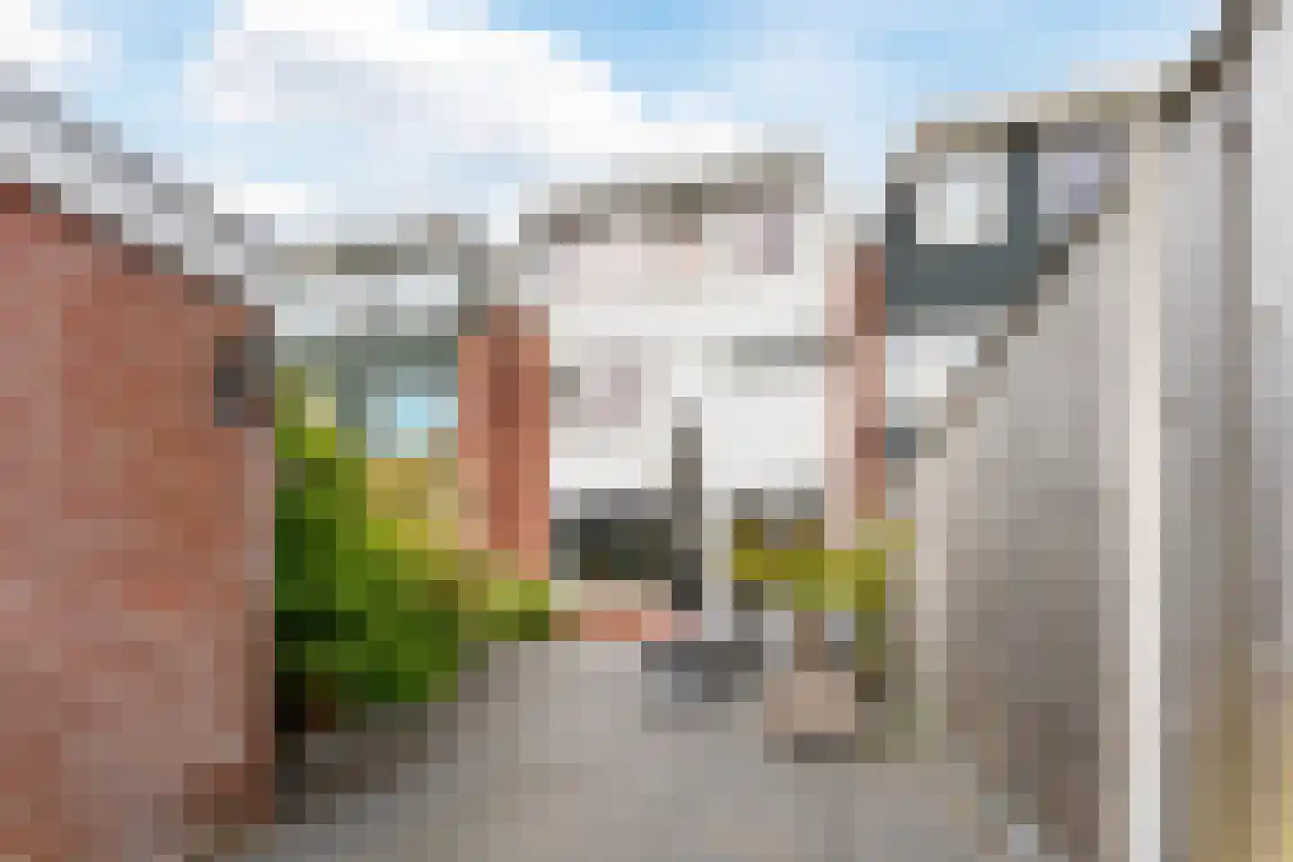 Ereprijsstraat 11 Krommenie thumbnail 35