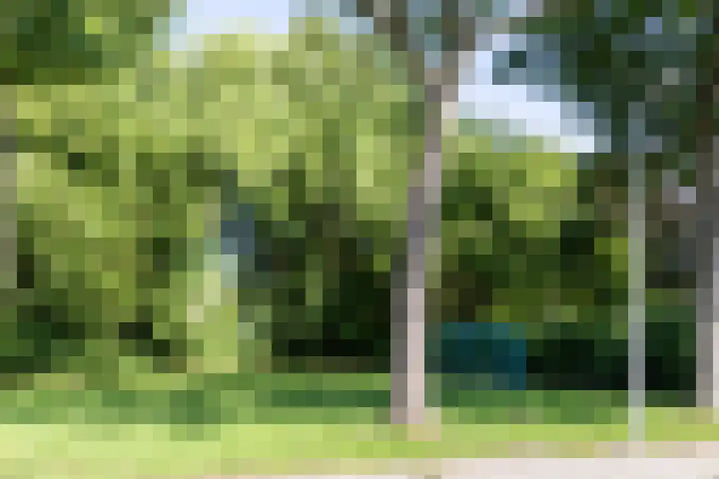 Ereprijsstraat 11 Krommenie thumbnail 38