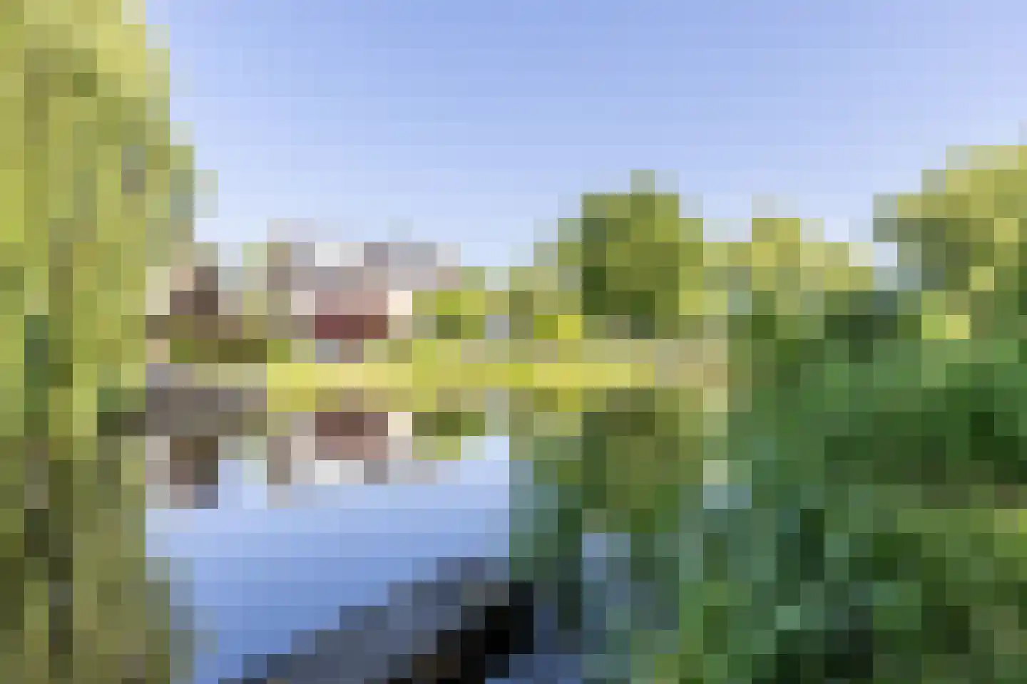 Ereprijsstraat 11 Krommenie thumbnail 40