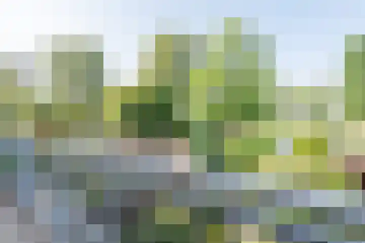 Ereprijsstraat 111 Soest thumbnail 11