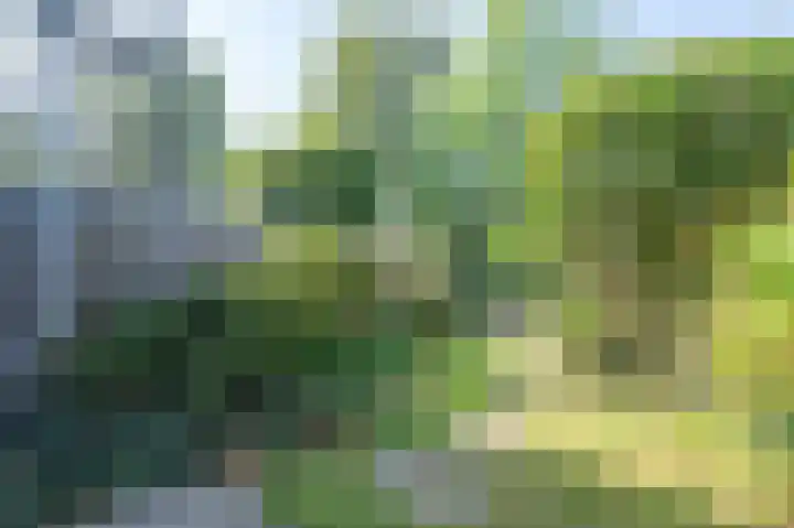 Ereprijsstraat 111 Soest thumbnail 30