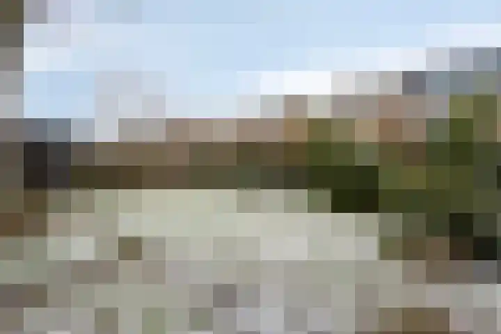 Ereprijsstraat 12 Assen thumbnail 15