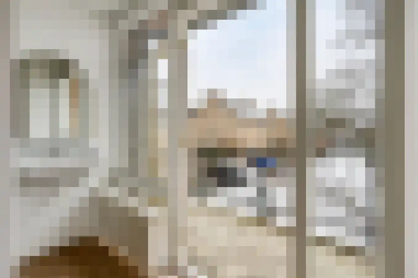 Ereprijsstraat 12 Assen thumbnail 27
