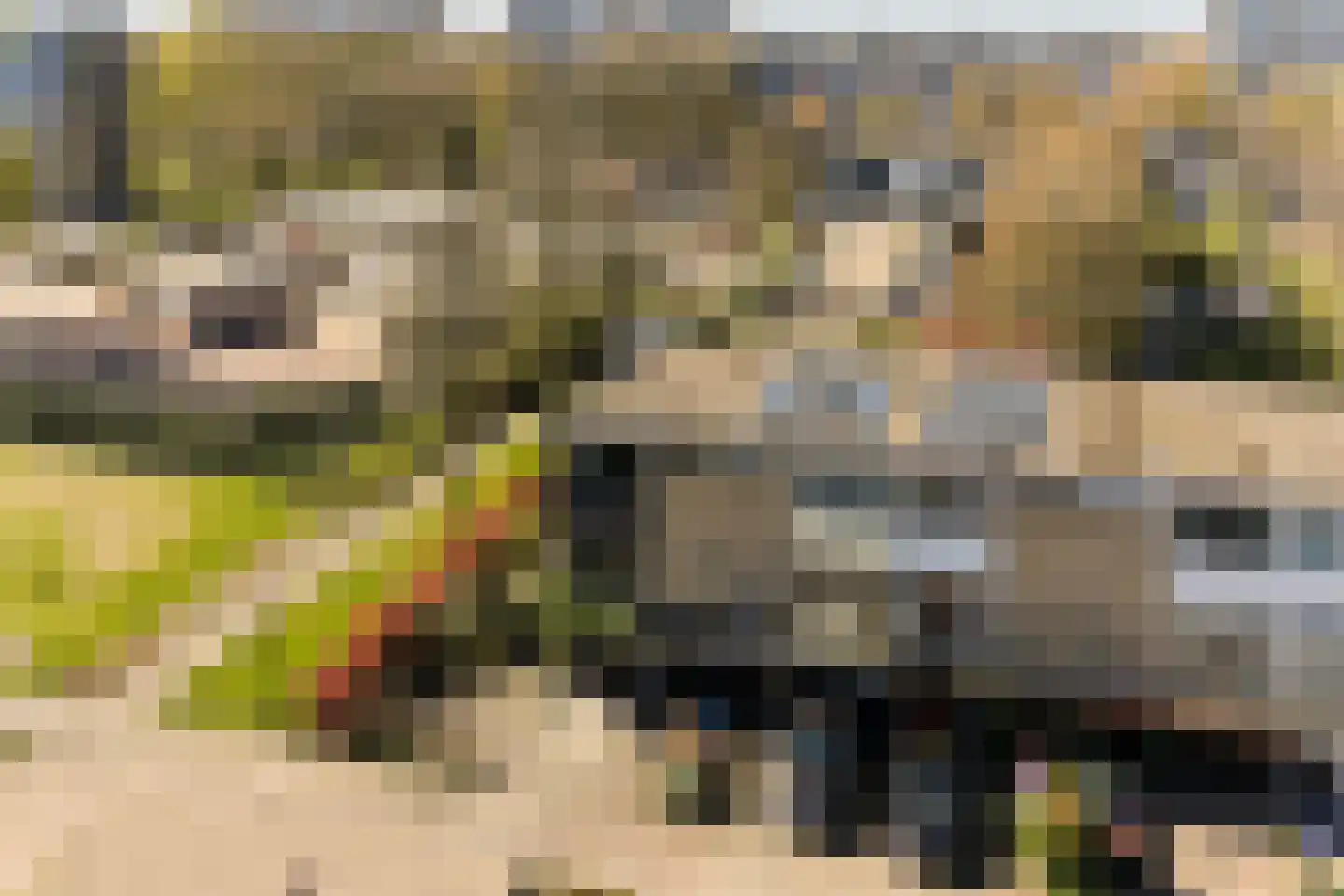 Ereprijsstraat 127 Soest thumbnail 39