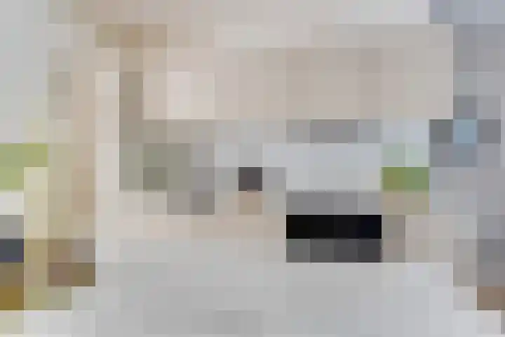 Ereprijsstraat 139 Soest thumbnail 12