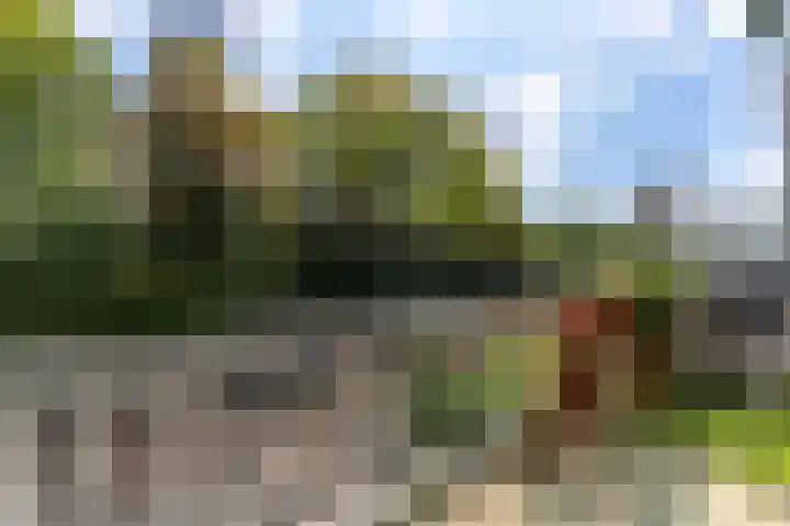 Ereprijsstraat 139 Soest thumbnail 17