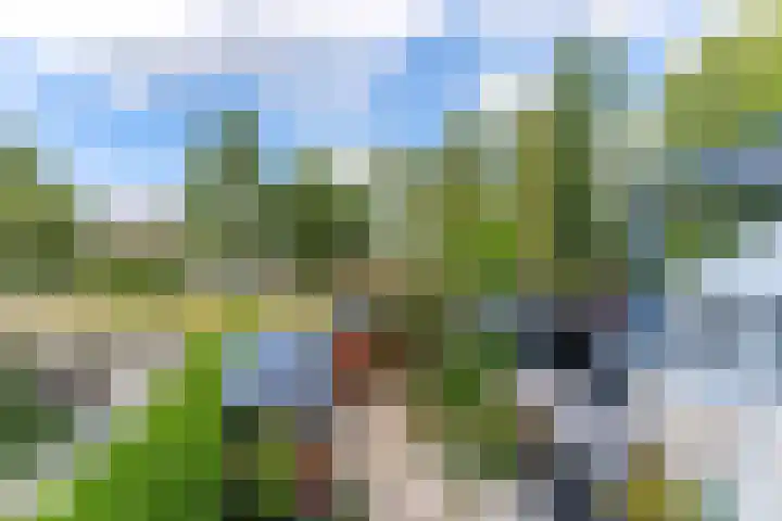 Ereprijsstraat 139 Soest thumbnail 8