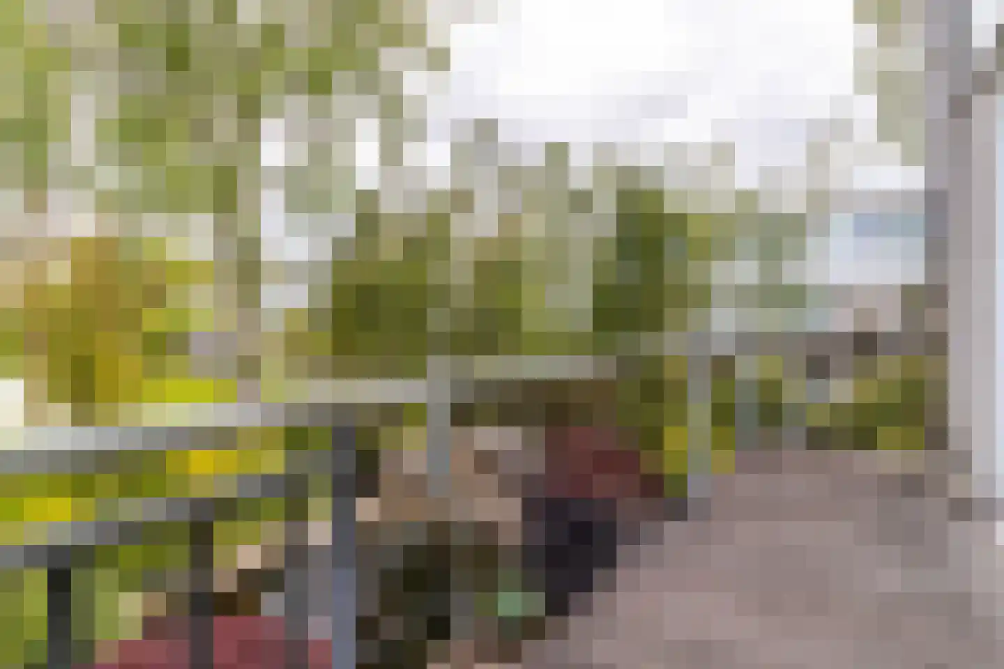 Ereprijsstraat 223 Soest thumbnail 10