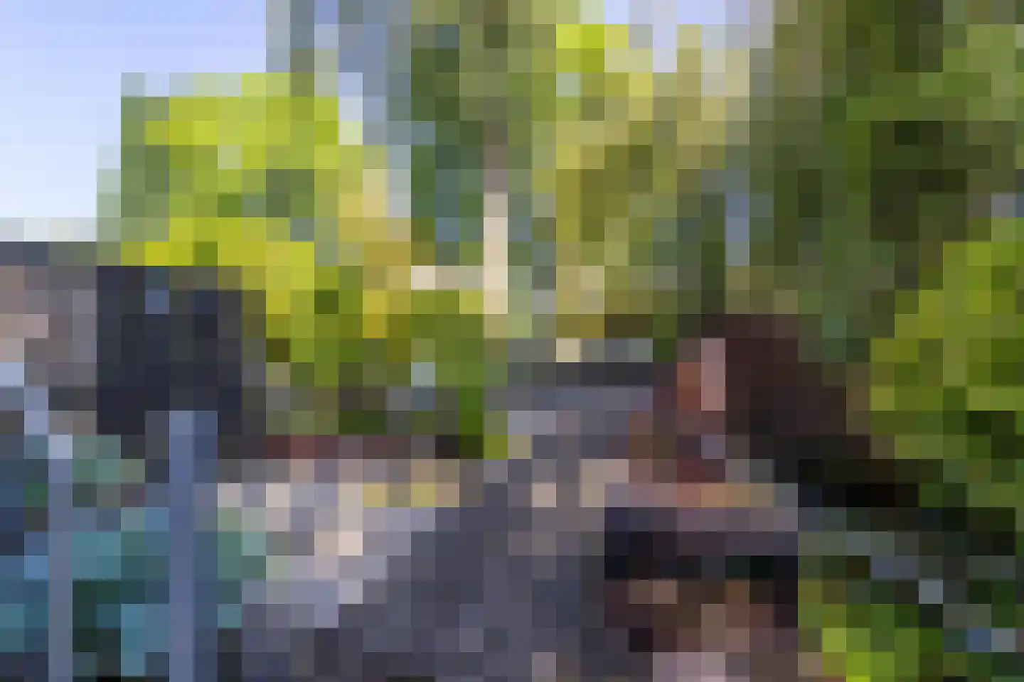 Ereprijsstraat 223 Soest thumbnail 20