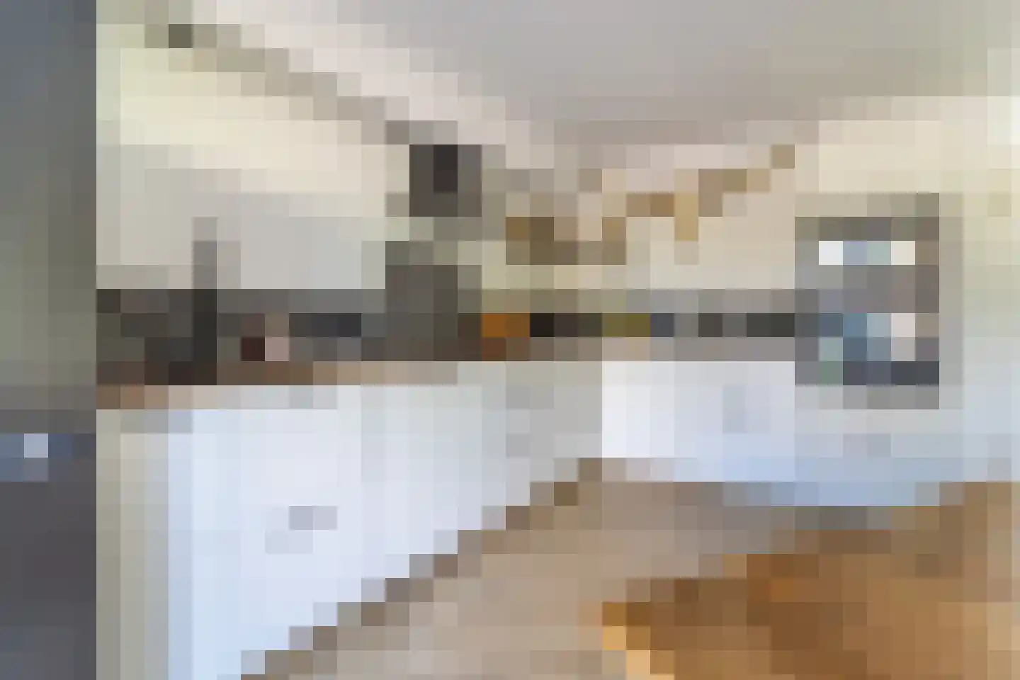 Ereprijsstraat 28 Soest thumbnail 25