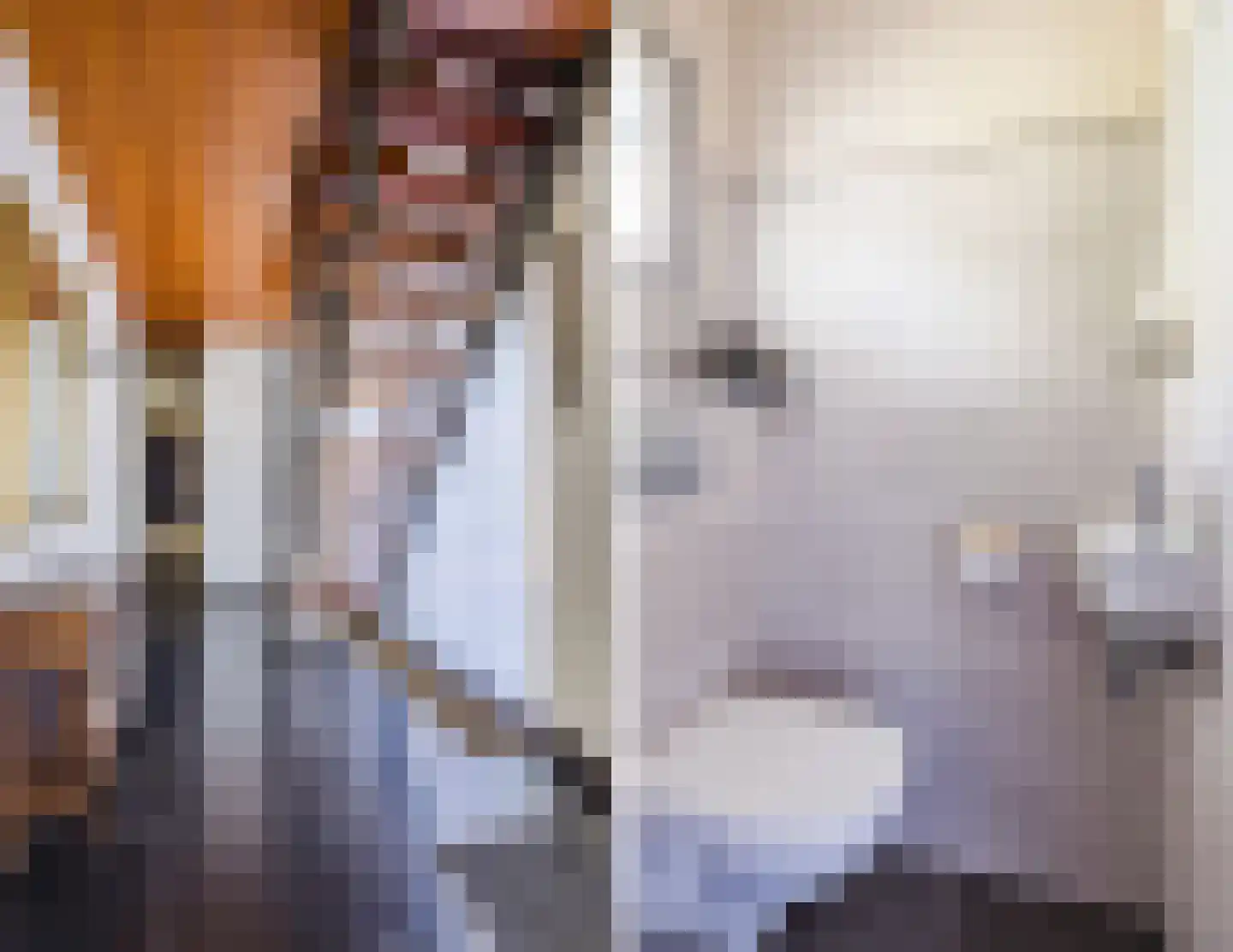 Ereprijsstraat 38 Uden thumbnail 10