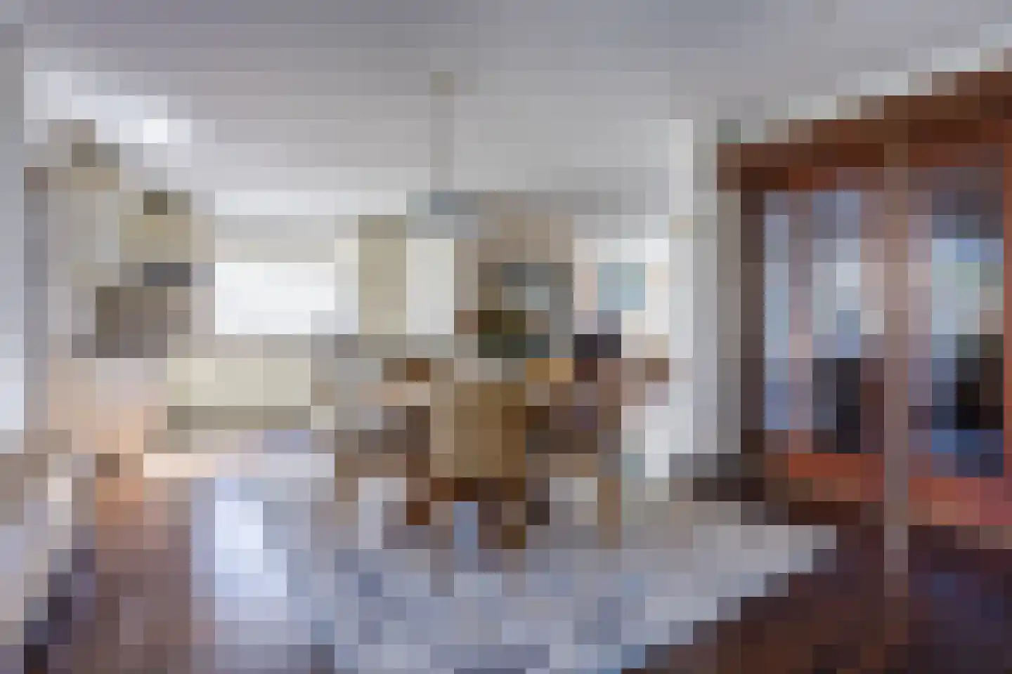 Ereprijsstraat 38 Uden thumbnail 13