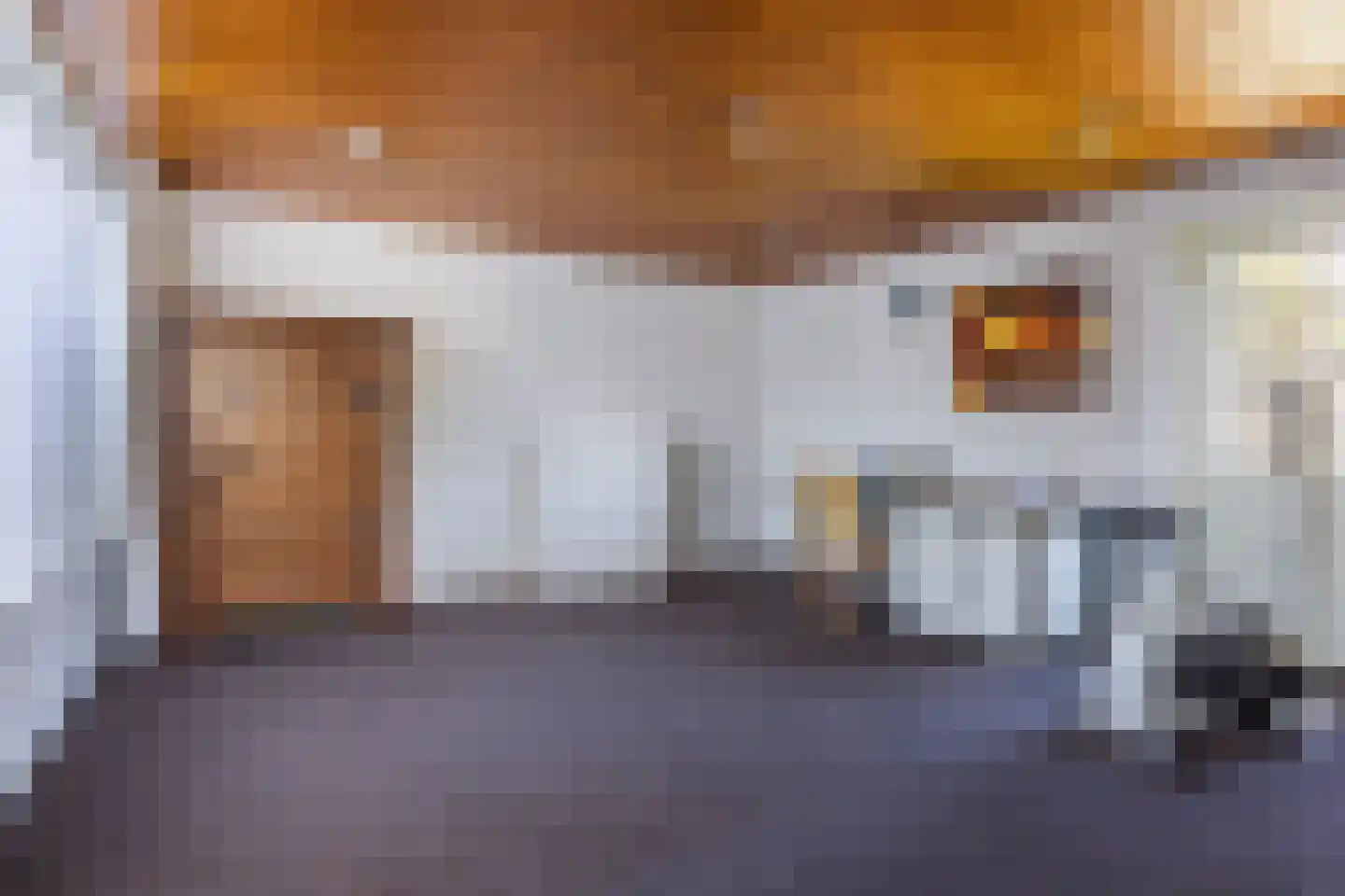Ereprijsstraat 38 Uden thumbnail 19