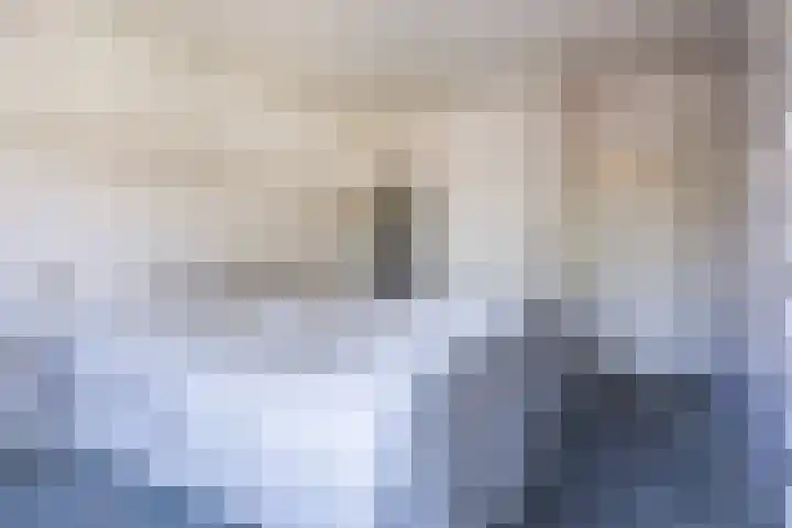 Ereprijsstraat 38 Uden thumbnail 24